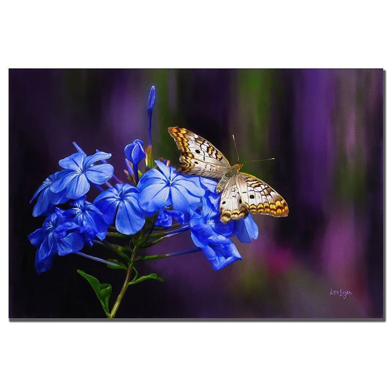 Trademark Fine Art Lois Bryan 'White Peacock' Canvas Art 30x47 Inches