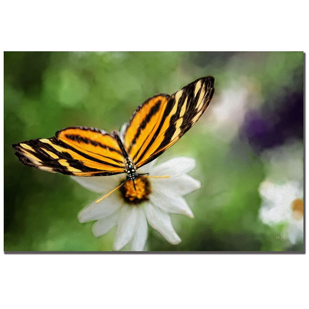 Trademark Fine Art Lois Bryan 'Delicate Balance' Canvas Art 22x32 Inches