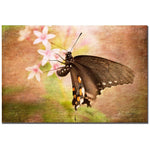 Trademark Fine Art Lois Bryan 'Hanging in There' Canvas Art 16x24 Inches
