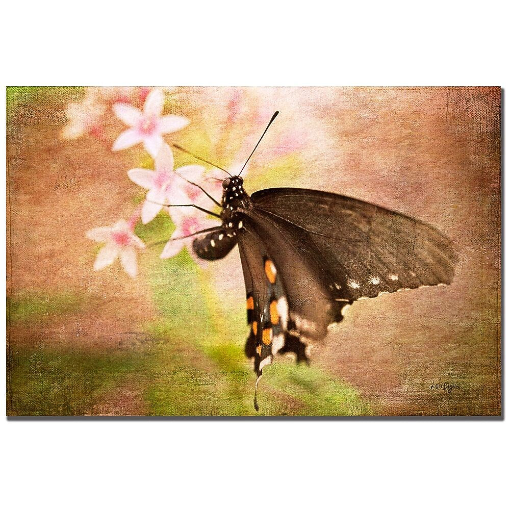 Trademark Fine Art Lois Bryan 'Hanging in There' Canvas Art 22x32 Inches
