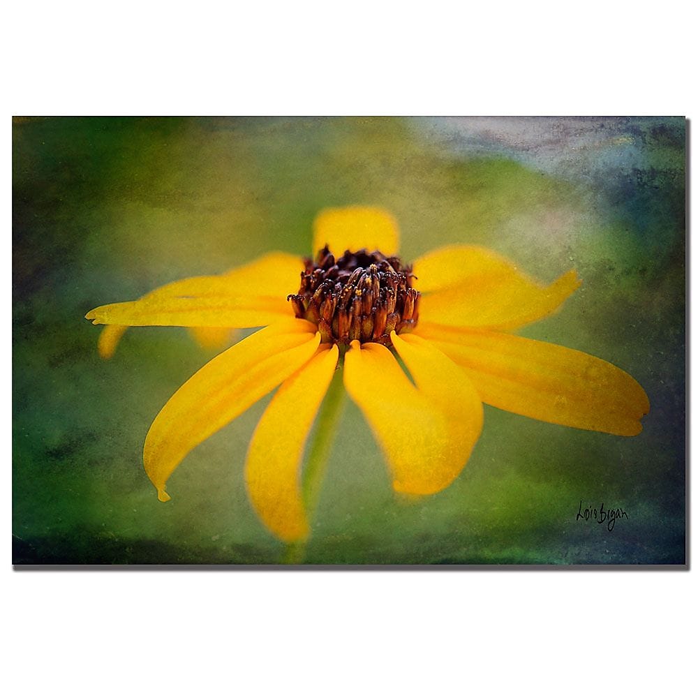 Trademark Fine Art Lois Bryan 'Textured Black-eyed Susan' Canvas Art 22x32 Inches