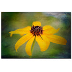 Trademark Fine Art Lois Bryan 'Textured Black-eyed Susan' Canvas Art 22x32 Inches