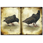 Trademark Fine Art Lois Bryan 'Squabbling Starlings' Canvas Art 22x32 Inches