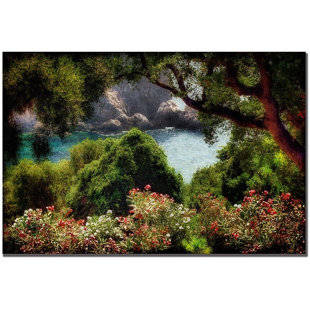 Trademark Fine Art Lois Bryan 'Water Plain' Canvas Art 22x32 Inches