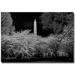 Trademark Fine Art Lois Bryan 'The Washington Monument at Night' Canvas Ar 22x32 Inches