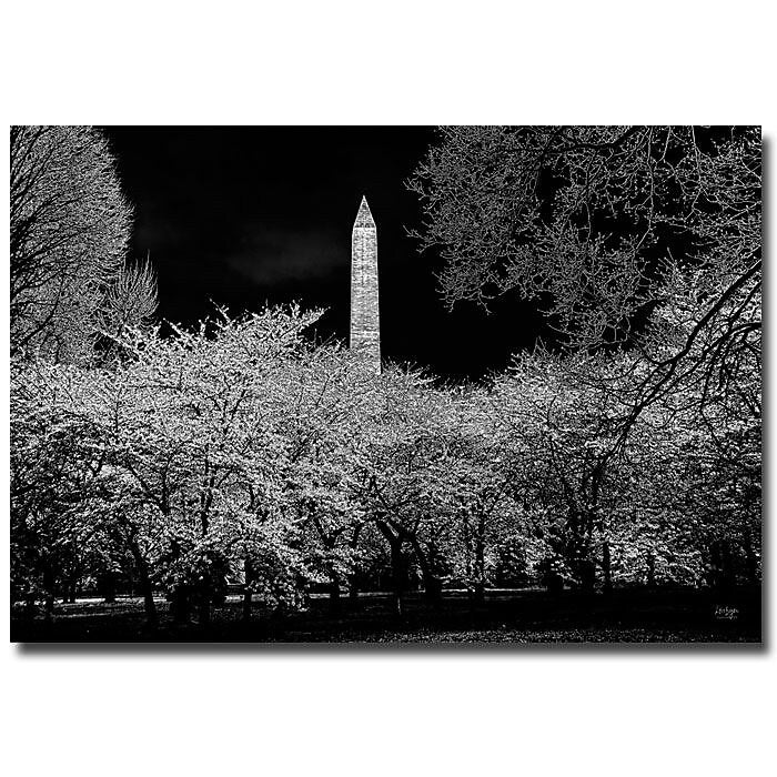 Trademark Fine Art Lois Bryan 'The Washington Monument at Night' Canvas Ar 22x32 Inches
