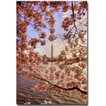 Trademark Fine Art Lois Bryan 'Cherry Blossoms at the Washington Monument' Art 14x19 Inches