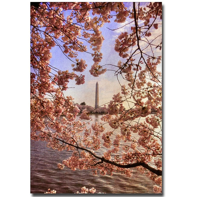 Trademark Fine Art Lois Bryan 'Cherry Blossoms at the Washington Monument' Art 14x19 Inches