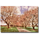Trademark Fine Art Lois Bryan 'Down the Cherry Lined Lane' Canvas Art 30x47 Inches