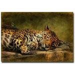 Trademark Fine Art Lois Bryan 'Wake Up Sleepyhead' Canvas Art 30x47 Inches