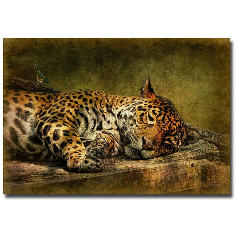 Trademark Fine Art Lois Bryan 'Wake Up Sleepyhead' Canvas Art 30x47 Inches