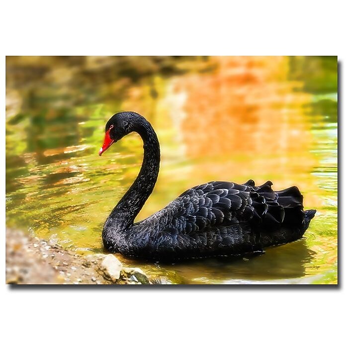 Trademark Fine Art Lois Bryan 'On the Golden Pond' Canvas Art 22x32 Inches