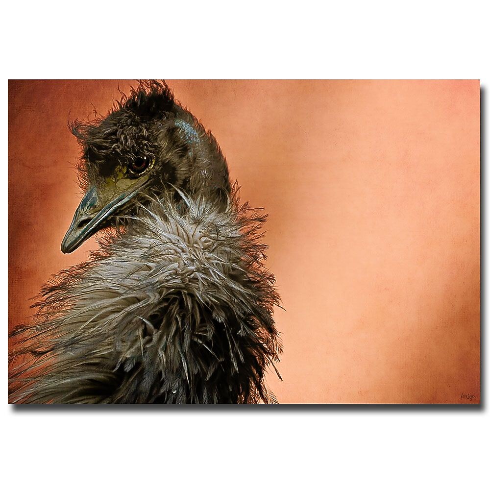 Trademark Fine Art Lois Bryan 'Wispy Bird' Canvas Art 30x47 Inches