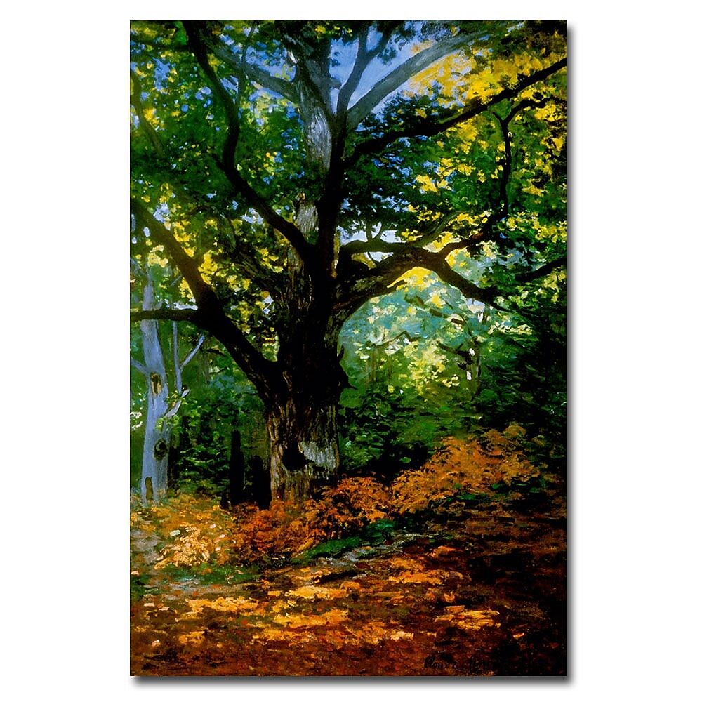 Trademark Fine Art Claude Monet, 'Bodmer Oak, Fontainebleau Forest' Canvas Art 16x24 Inches