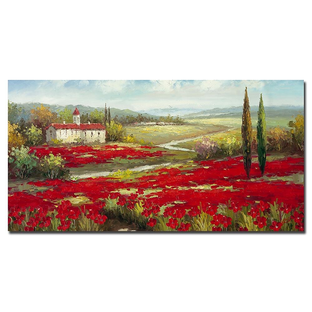 Trademark Fine Art 16" x 32" Wooden Frame Field of Poppies