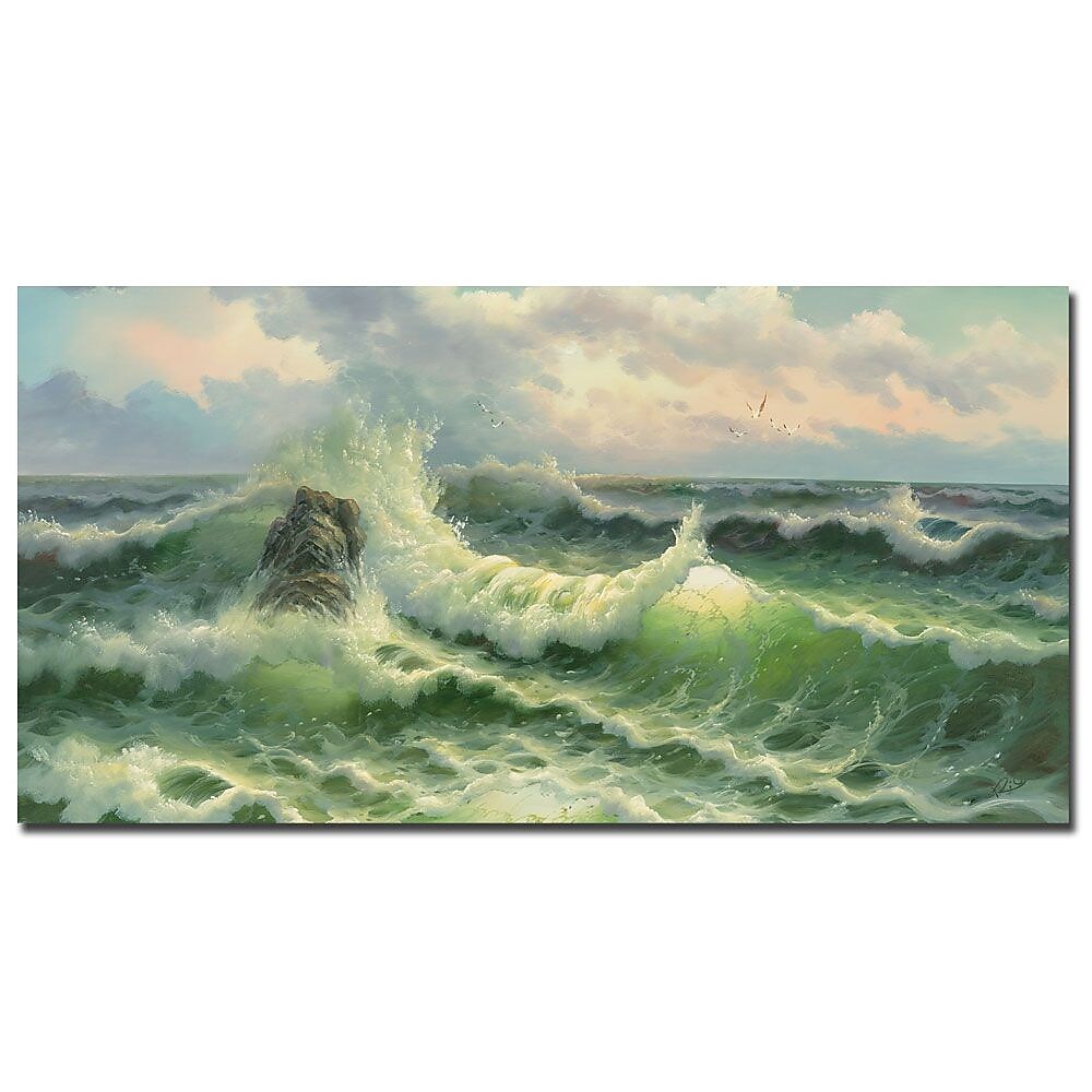 Trademark Fine Art Rio 'Waves II' Canvas Art 24x47 Inches