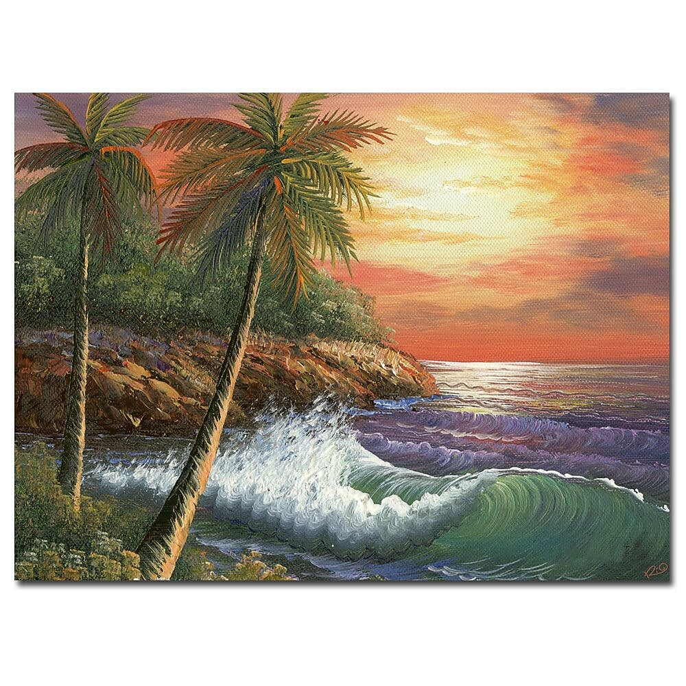 Trademark Fine Art Rio 'Maui Sunset' Canvas Art 24x32 Inches
