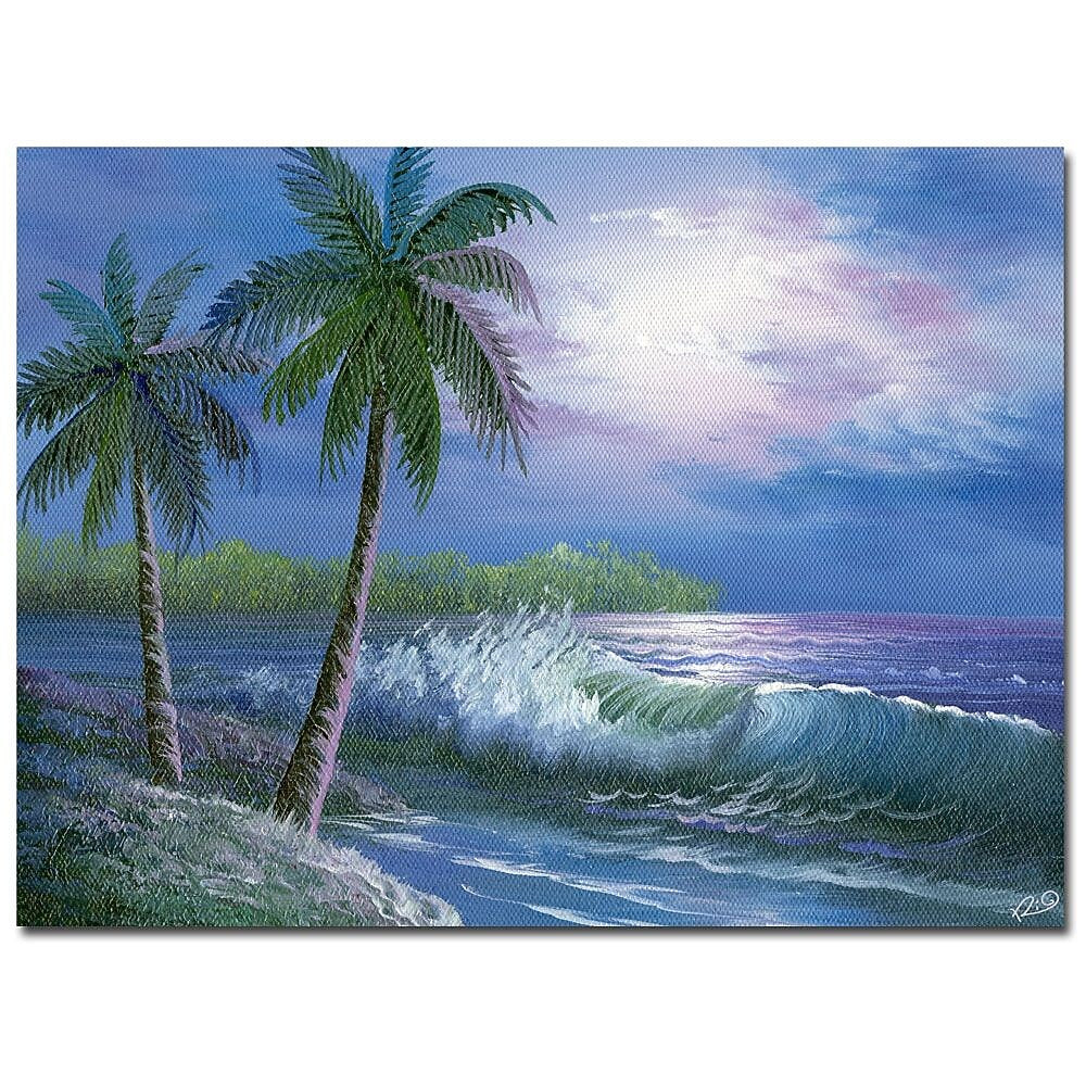 Trademark Fine Art Rio 'Moonlight in Key Largo' Canvas Art 24x32 Inches