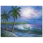 Trademark Fine Art Rio 'Moonlight in Key Largo' Canvas Art 35x47 Inches