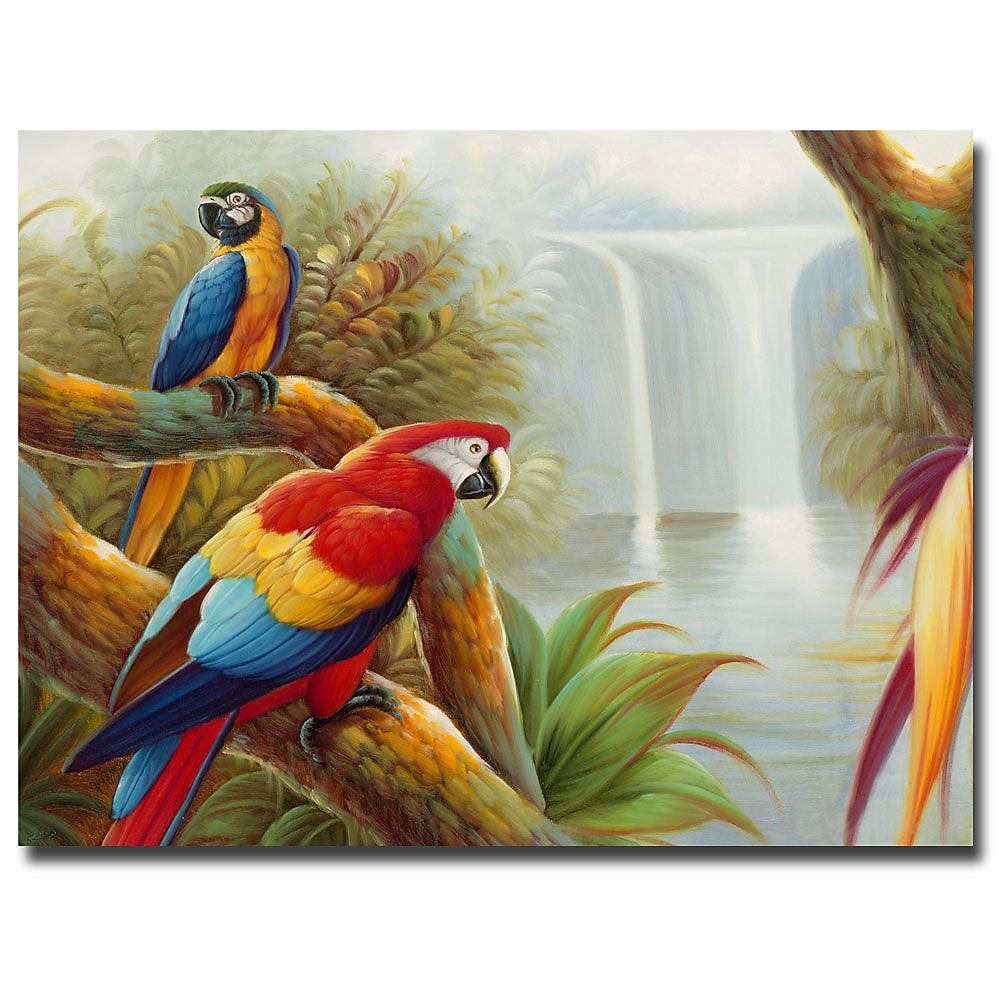 Trademark Fine Art Rio 'Amazon Waterfall' Canvas Art 35x47 Inches
