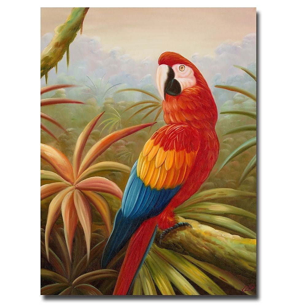Trademark Fine Art Rio 'Amazon Rain Forest' Canvas Art 18x24 Inches