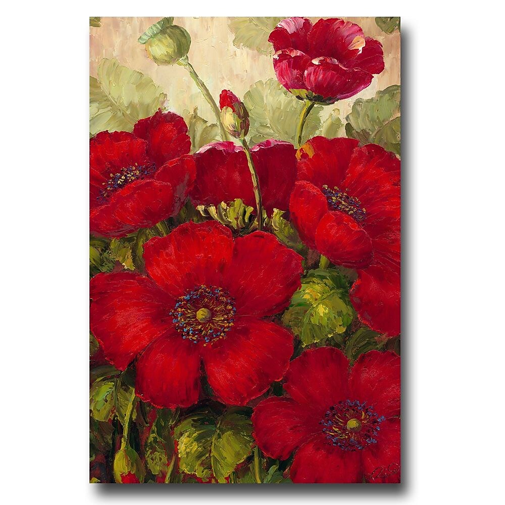 Trademark Fine Art Rio 'Poppies II' Canvas Art 16x24 Inches