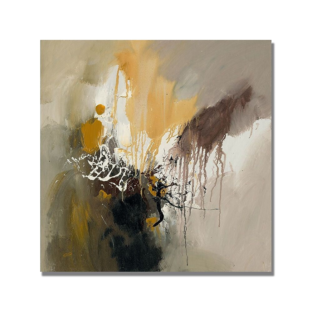 Trademark Fine Art Rio 'Abstract I' Canvas Art 24x24 Inches