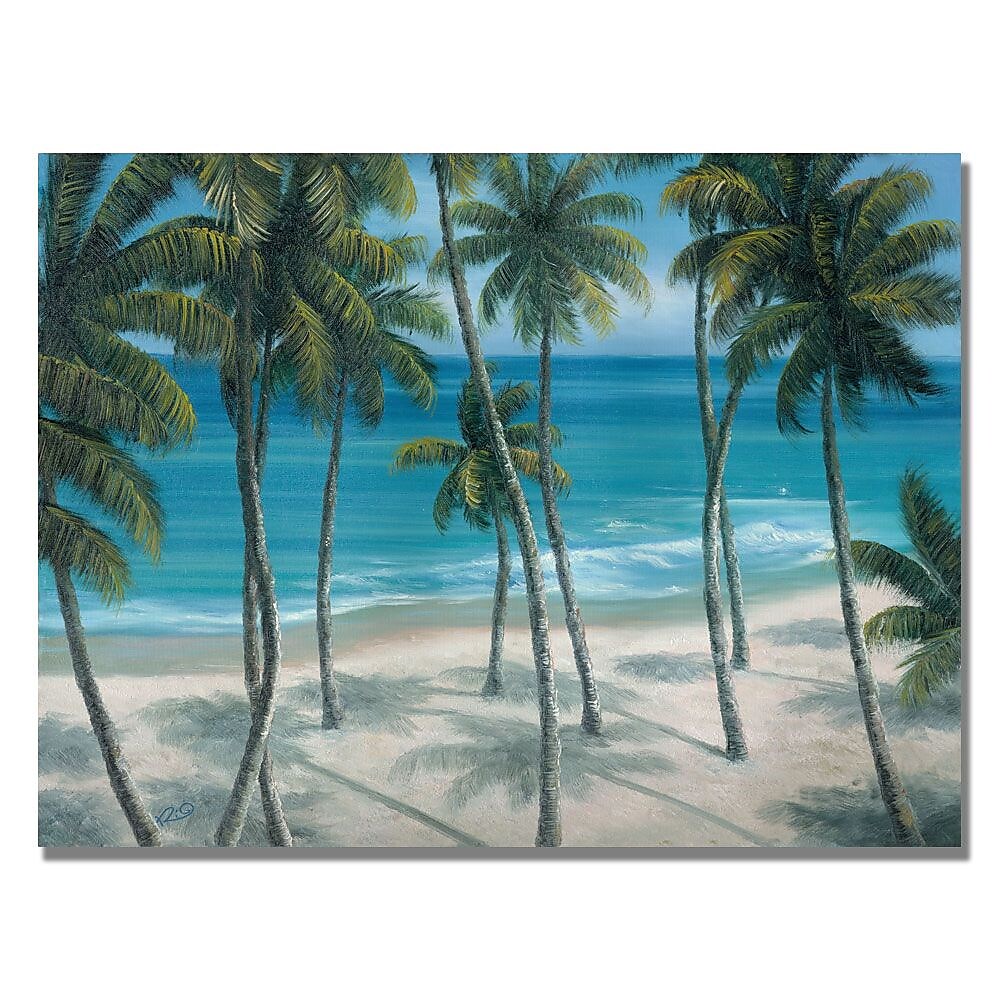 Trademark Fine Art Rio 'Barbados Palms' Canvas Art 35x47 Inches