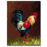 Trademark Fine Art Rio 'Rooster' Canvas Art 35x47 Inches