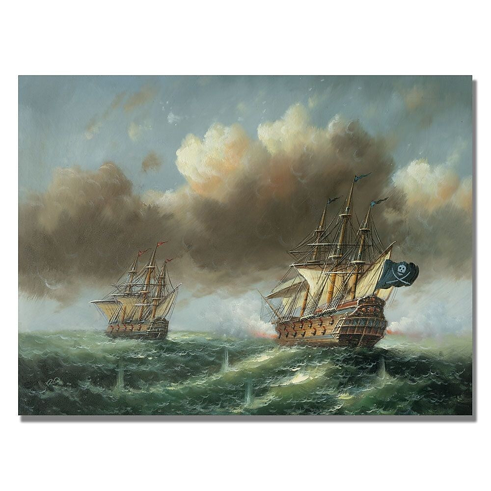 Trademark Fine Art Rio 'The Revenge' Canvas Art 35x47 Inches
