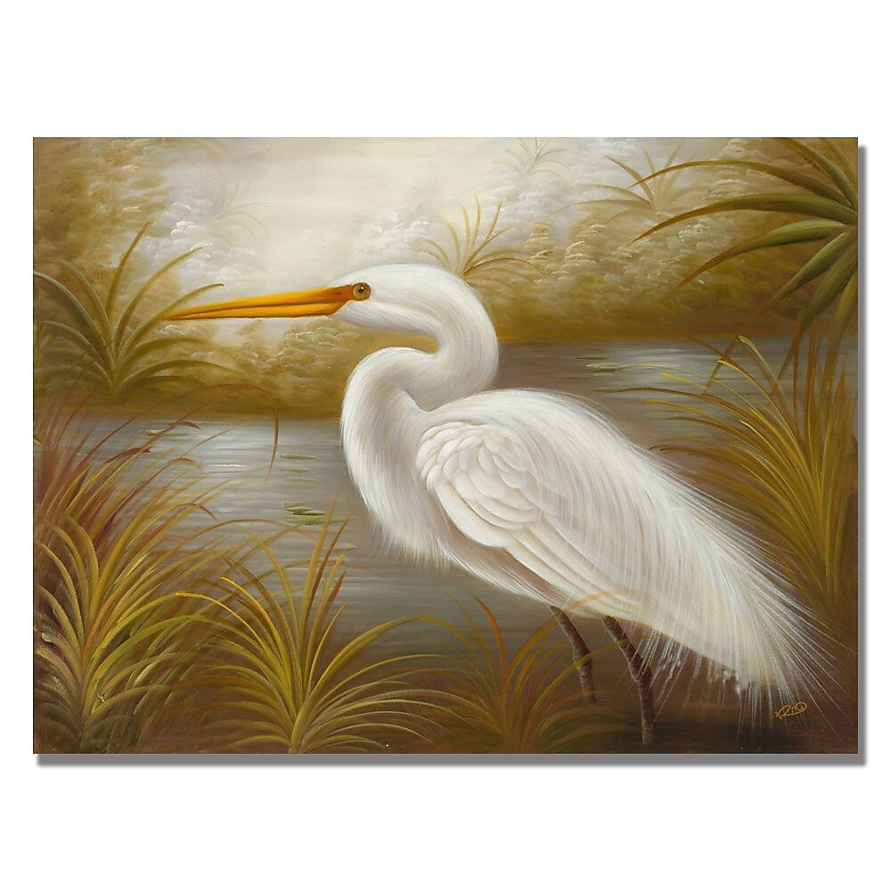 Trademark Fine Art Rio 'White Heron' Canvas Art 35x47 Inches