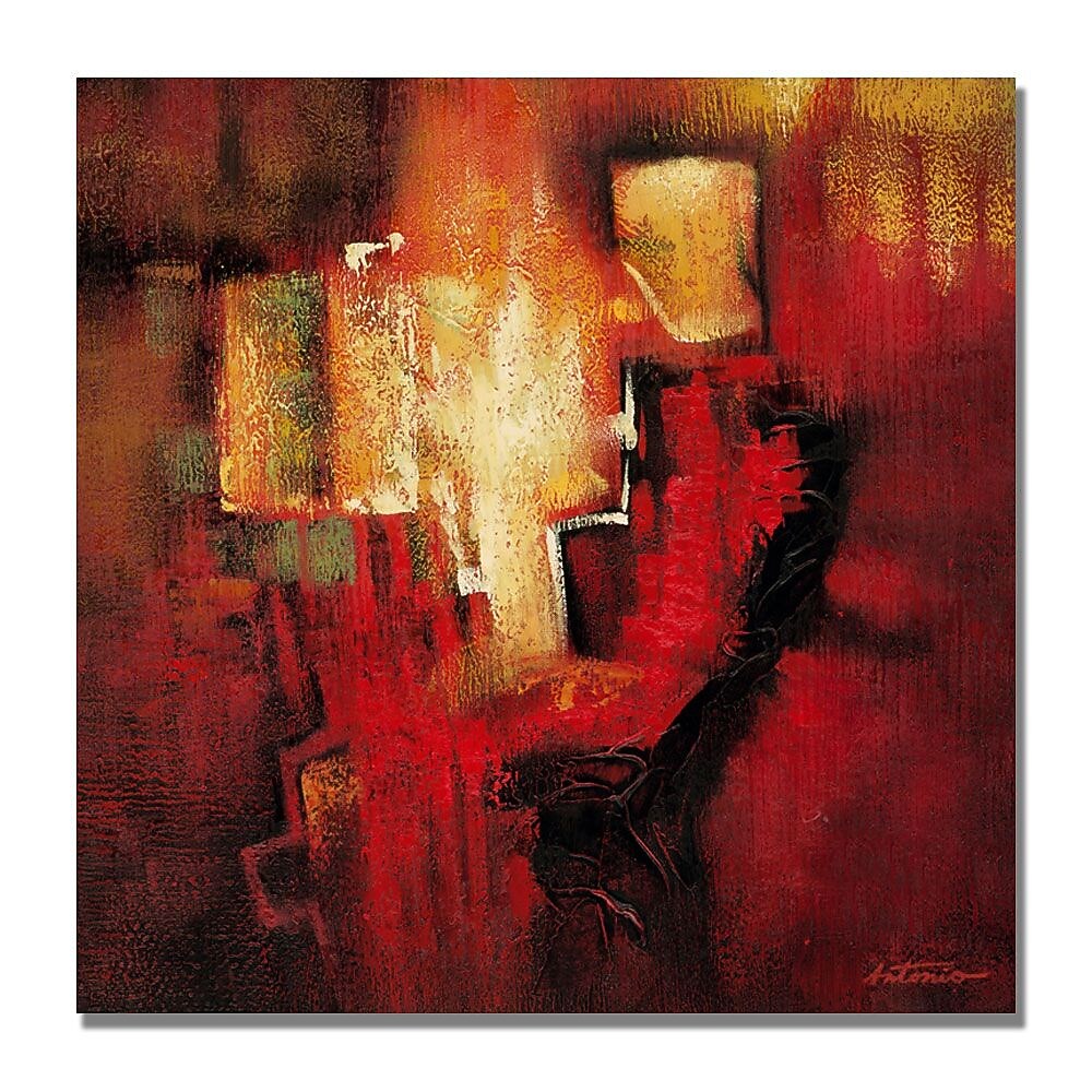 Trademark Fine Art 'Antonio Abstract II' Canvas Art 24x24 Inches