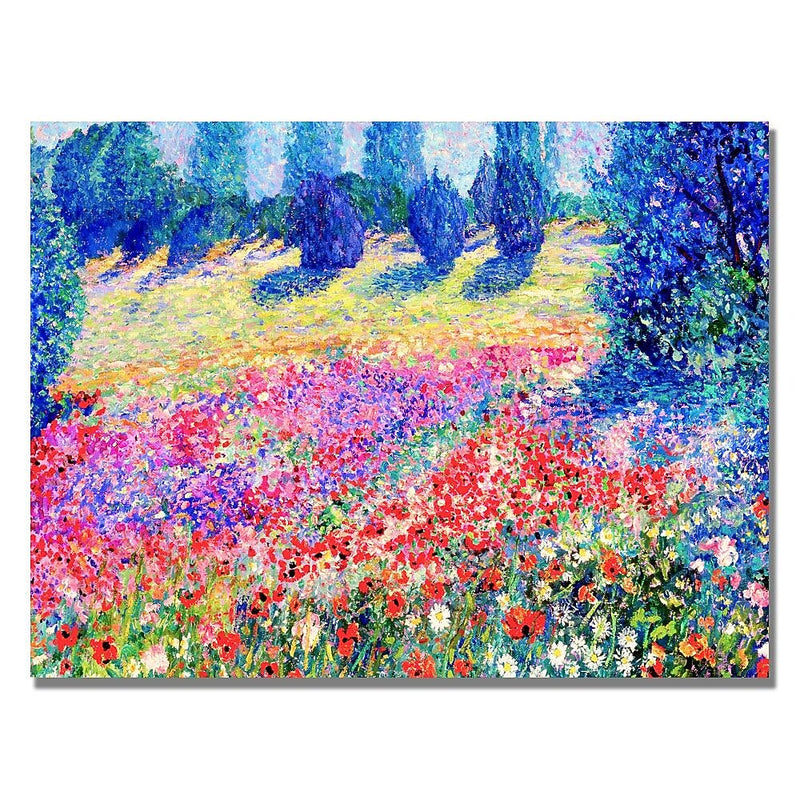 Trademark Fine Art Manor Shadian 'Poppies' Canvas Art 22x32 Inches