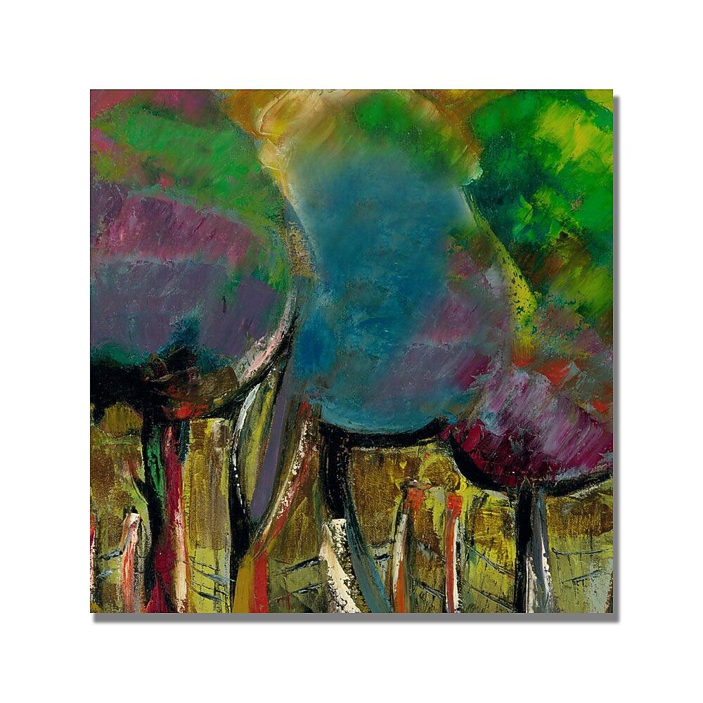 Trademark Fine Art 'Boyer Manzano de Noche' Canvas Art