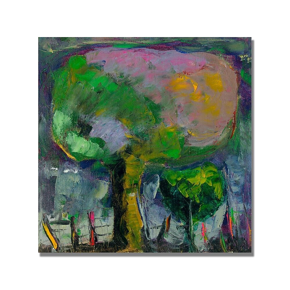 Trademark Fine Art 'Boyer Niebla de Colores' Canvas Art