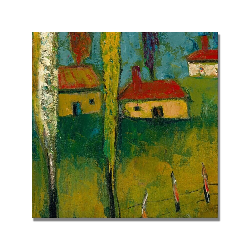 Trademark Fine Art 'Boyer Puesta de sol' Canvas Art