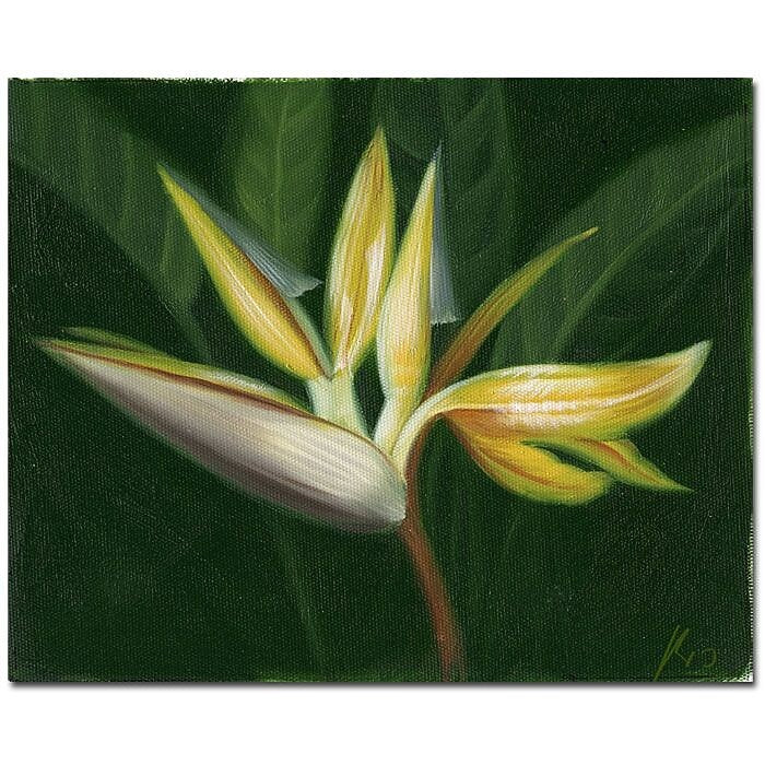 Trademark Fine Art Lilies' Canvas Art Ready to Hang 14x19 Inches