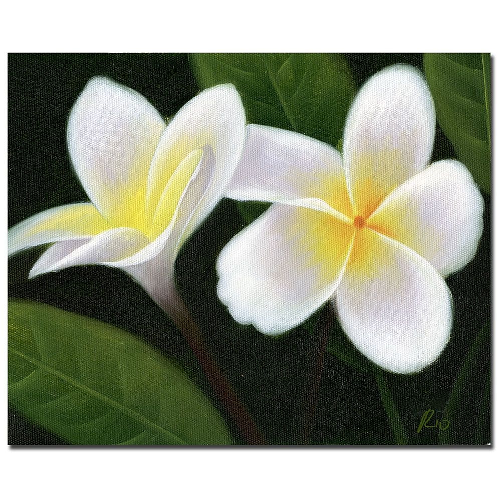 Trademark Fine Art Hawaiian Lei Flowers' Canvas Art Readu to Hang 35x47 Inches