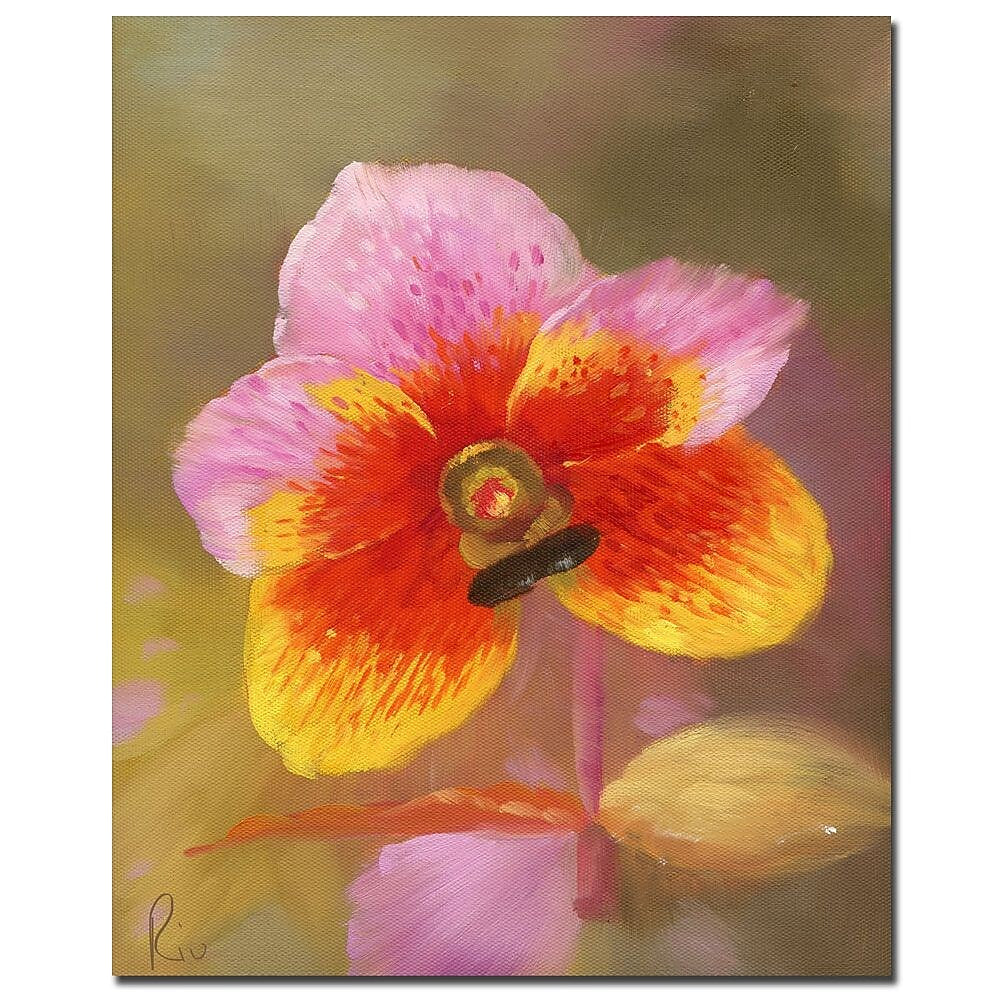 Trademark Fine Art 'Orange-Pink Orchid' Canvas Art 26x32 Inches