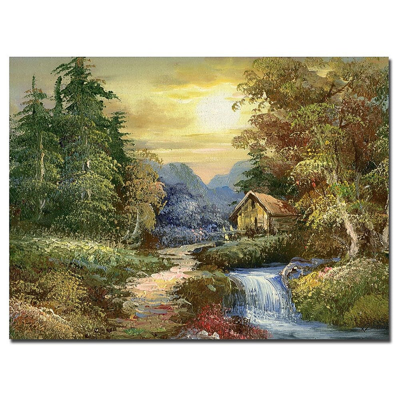 Trademark Fine Art Rio 'Tranquility Canvas Art 35x47 Inches