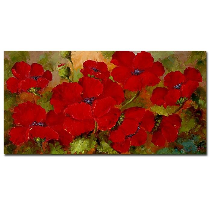 Trademark Fine Art Rio, 'Poppies' Canvas Art 24x47 Inches