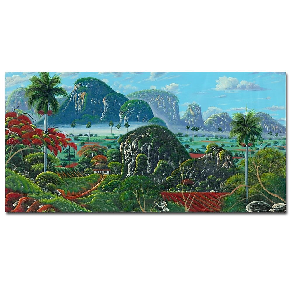 Trademark Fine Art Douglas 'Paisage Tropical' Canvas Art