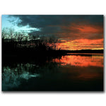 Trademark Fine Art CATeyes 'Life' Canvas Art Ready to Hang 35x47 Inches