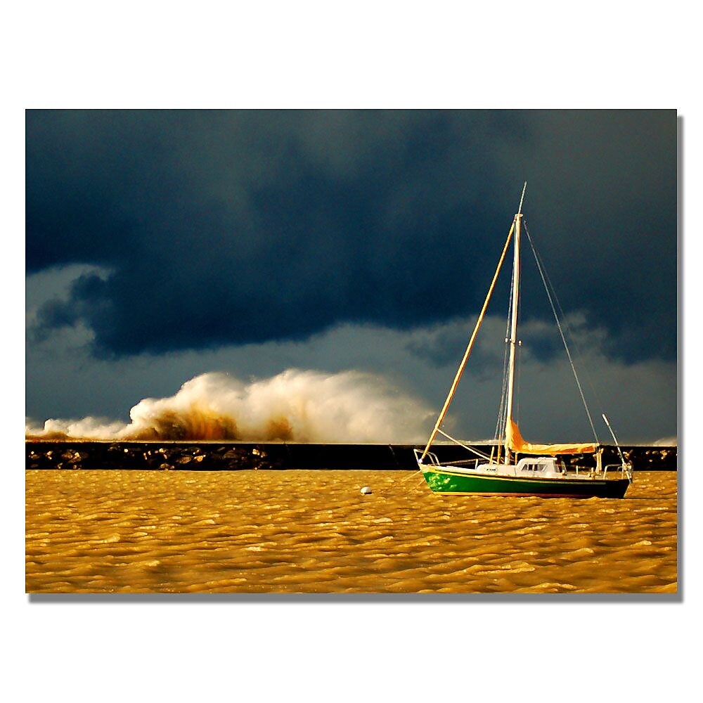 Trademark Fine Art 'Lake Erie Storm' 18" x 24" Canvas Art