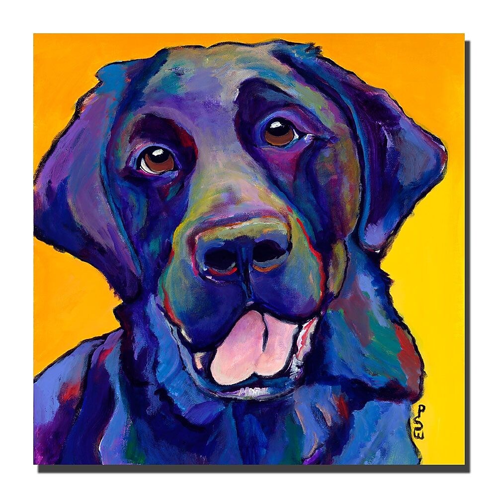 Trademark Fine Art Pat Saunders-White, 'Buddy' Canvas Art 14x14 Inches
