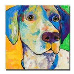Trademark Fine Art Yancy by Colorful Attitudes-Ready to Hang Canvas! 35x35 Inches