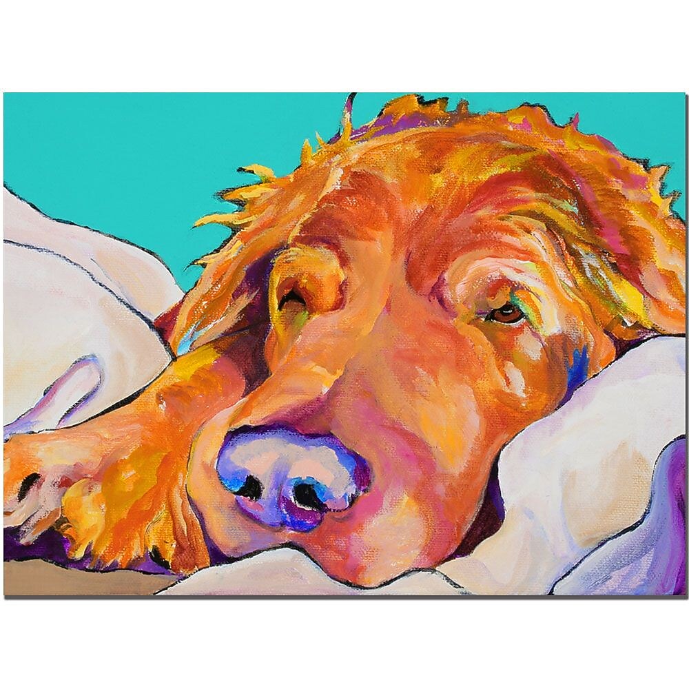 Trademark Fine Art Snoozer King by Pat Saunders-White-Ready to Hang Art 14x19 Inches
