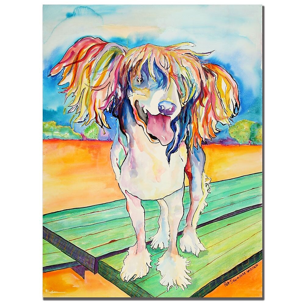 Trademark Fine Art Pat Saunders-White 'Mango Salsa' Canvas Art