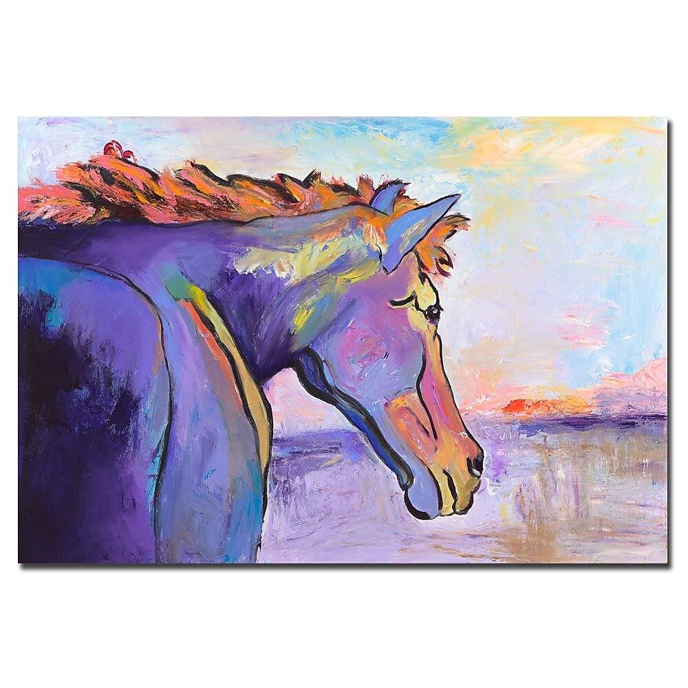 Trademark Fine Art Pat Saunders-White, 'Frosty Morning' Canvas Art
