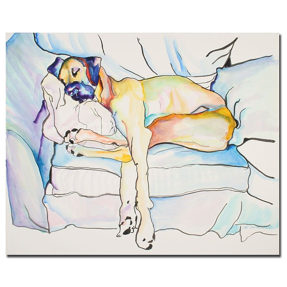 Trademark Fine Art Pat Saunders-White 'Sleeping Beauty' Canvas Art 35x47 Inches